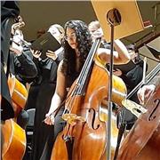 Profesora de Contrabajo, con experiencia dando clases en Conservatorios, escuelas y particulares.
Formada en el sistema de orquestas de Venezuela. Clases dirigidas sin límite de edad, ni de nivel